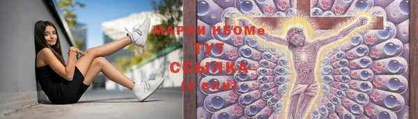 бошки Алексин