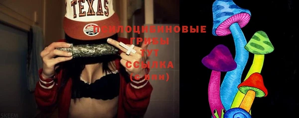 бошки Алексин
