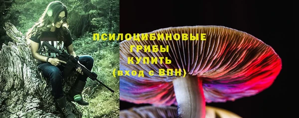 бошки Алексин