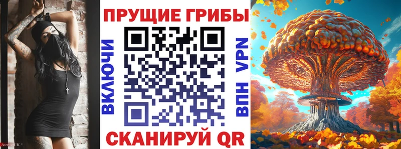 где можно купить   Куровское  Галлюциногенные грибы GOLDEN TEACHER 